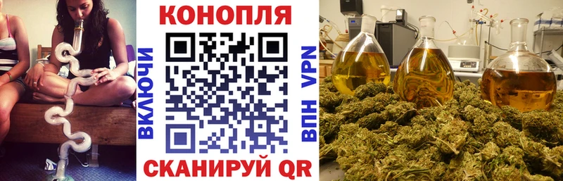 купить наркоту  Среднеколымск  KRAKEN вход  Каннабис планчик 